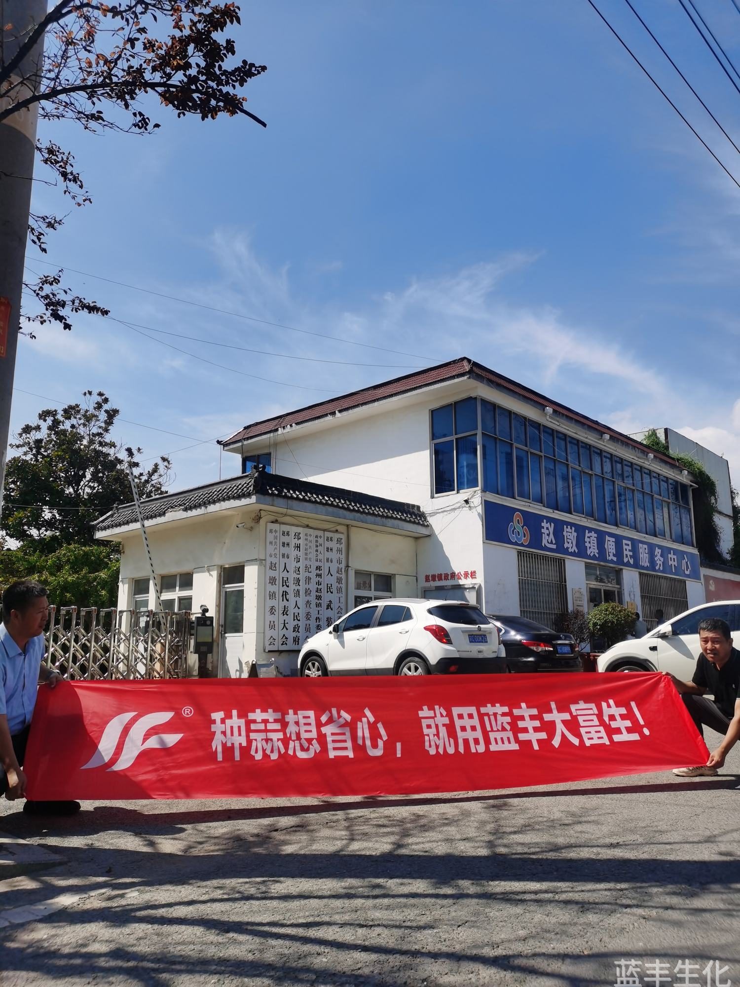 江苏邳州大蒜种植防治-必赢集团bwin大富生