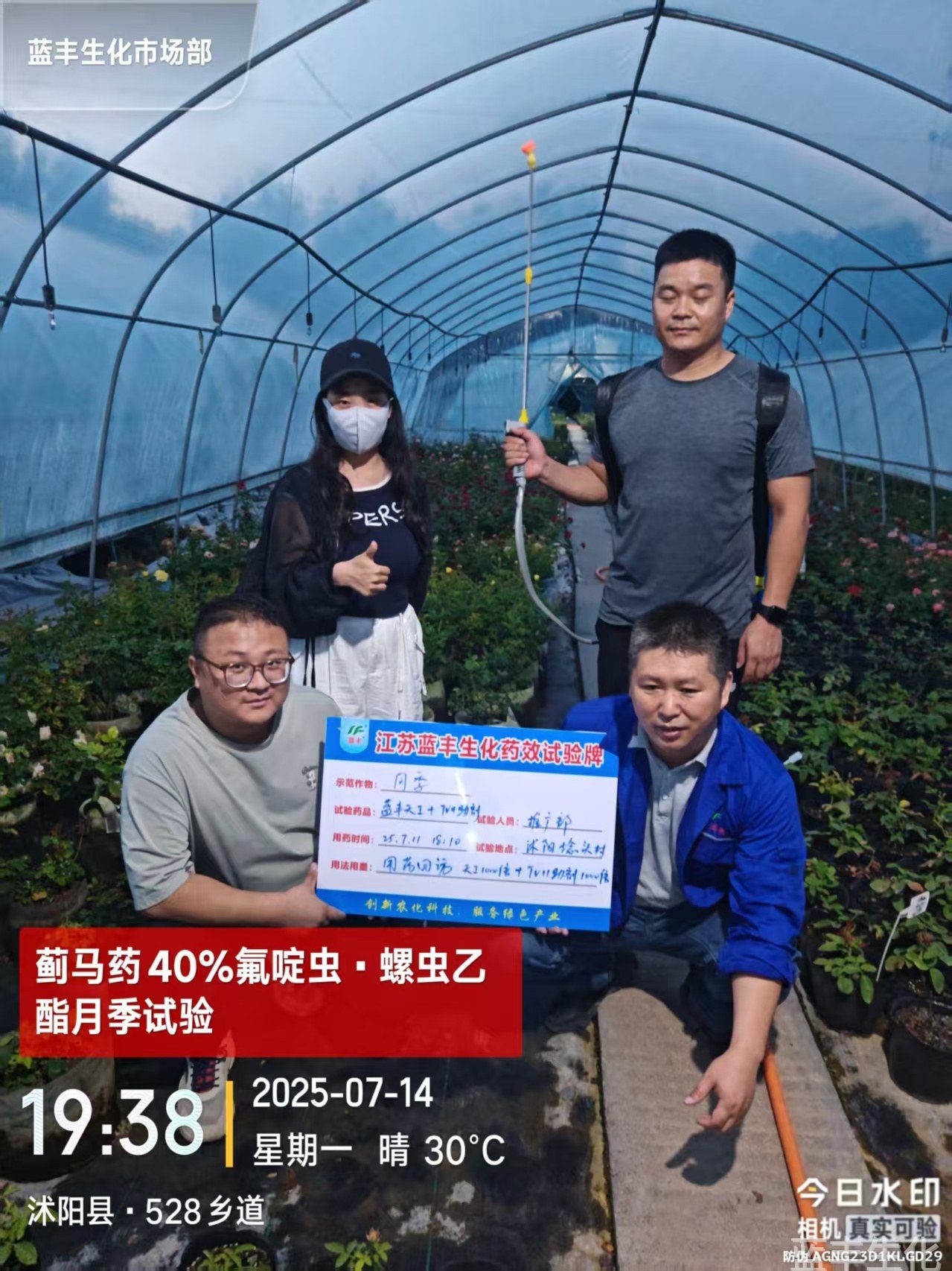 必赢集团bwin月季实验田培育跟踪记录