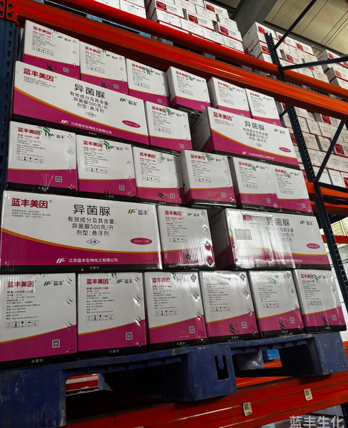 必赢集团bwin美因